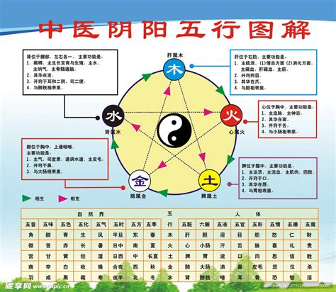 夏 五行|五行代表知识大全